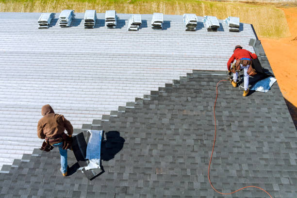 Roof Gutter Cleaning in Attalla, AL